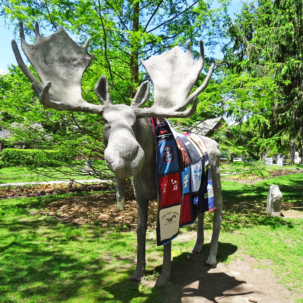 T-Shirt Quilt on a Moose T-Shirt Quilt on a Moose
